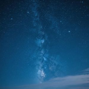 春风细语绕青丝