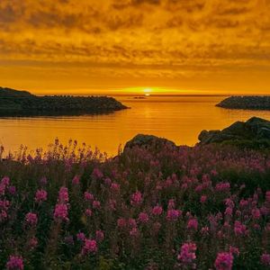 爱说好了就好了