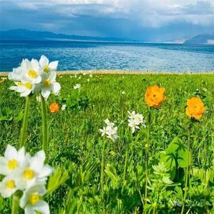 被爱好似有靠山  (DJ版)