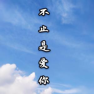 不止是爱你