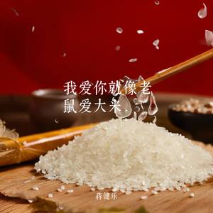 我爱你就像老鼠爱大米2014