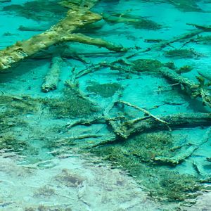 磁带翻面的咔嗒