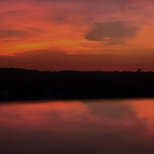 他们说忘记就不会痛苦