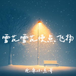 雪花雪花慢点飞扬
