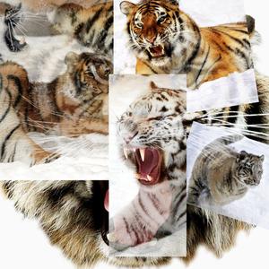 The Ultimate Trip (Raw) (Instrumental)