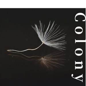 Colony