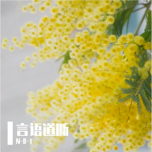 言语道断