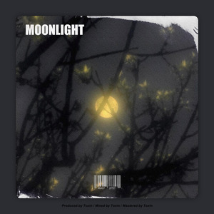 Moonlight