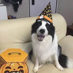 我与我相依 伴奏