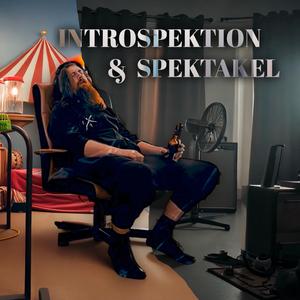 Introspektakel