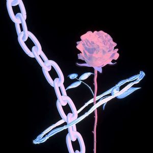 如果爱请深爱（for苏苏）