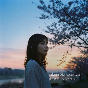 桜と空のコントラスト