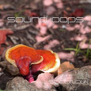 Pacinian Corpuscles (Haptic Actuators MIX)