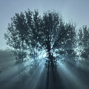 成安男孩的成长之路