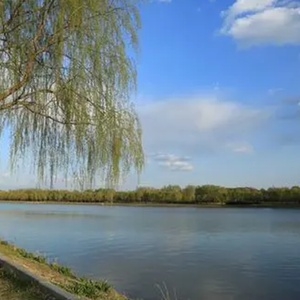 成年人的苦 (烟嗓)