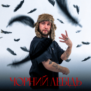 Чорний лебідь