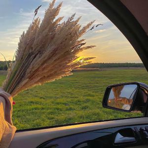 邵帅-暖一杯茶（Mix）（音WeiYouNi remix）