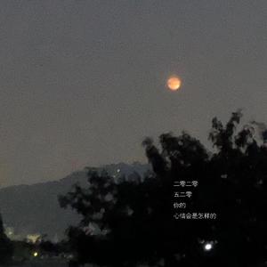 心情会是怎样的（DEMO）