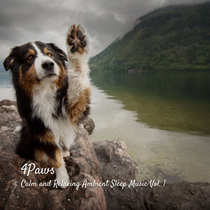 Study Ambience Library Sounds