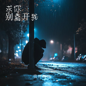 求你别离开我（伴奏）