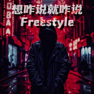 想咋说就咋说freestyle