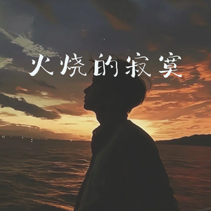 火烧的寂寞(动感版)