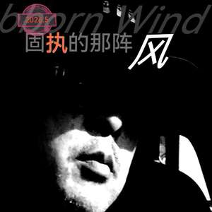 固执的那阵风