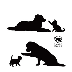 Soothing Whispers of Love