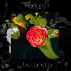 長く短い祭 (Healing Cover)