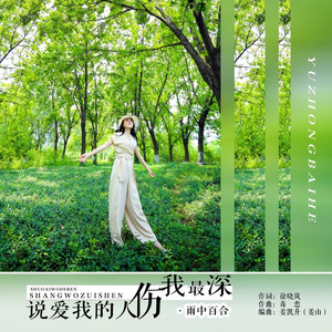 说爱我的人伤我最深