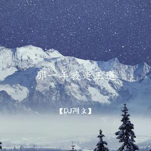 那一年我走王道