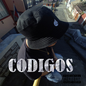 Codigos