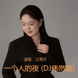 一个人的夜 (DJ版伴奏)