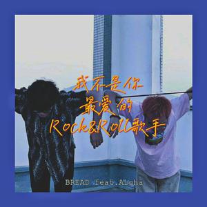 我不是你最爱的Rock&Roll歌手