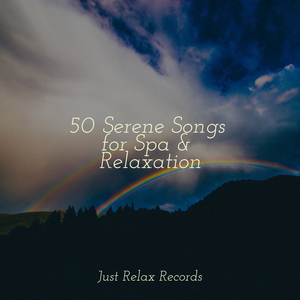 Waves of Colorful Melodies