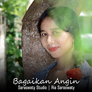 Bagaikan Angin