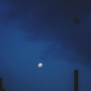 B l u e * m o o n l i g h t