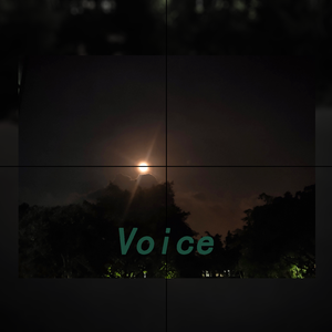 Voice