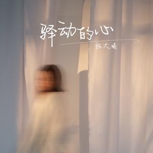 驿动的心 (伴奏)