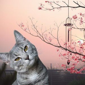 桜舞う春の夕暮れ