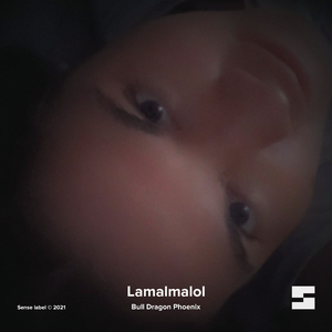 Shamantyca (Original Mix)