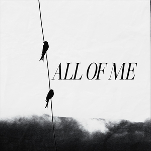 ALL OF ME (feat. Amal Thrideep)