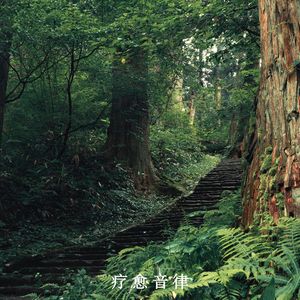 自然环境音（轻音乐）