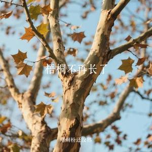 梧桐不再长了 (Remix)