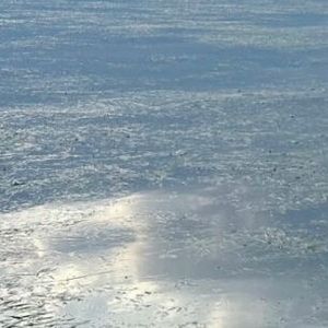 《温柔的话语》