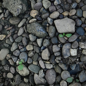 星星点亮归乡的路.wav