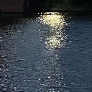 情深深雨蒙蒙（Cover 赵薇）