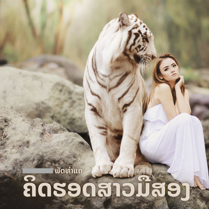 ຕໍ່ຂື້ນໄດ້ບໍ່