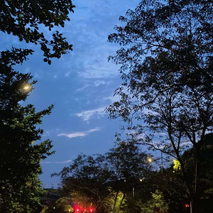 悔意