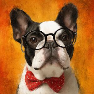 Palm shadows swaying across sunlit terraces